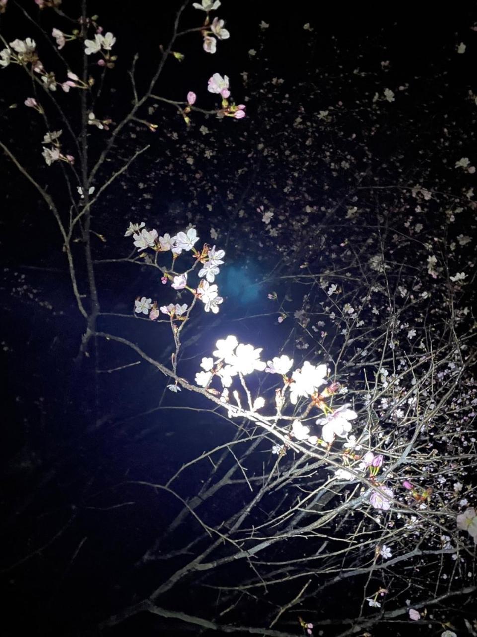 Kinugawa Keisui Hotel Nikkó Kültér fotó