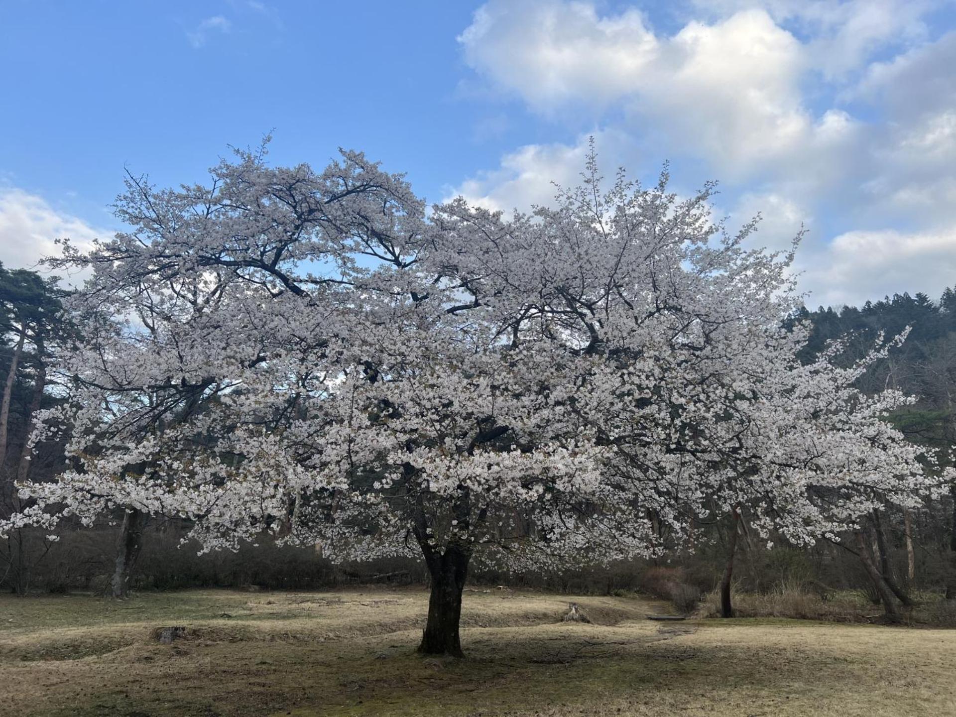 Kinugawa Keisui Hotel Nikkó Kültér fotó