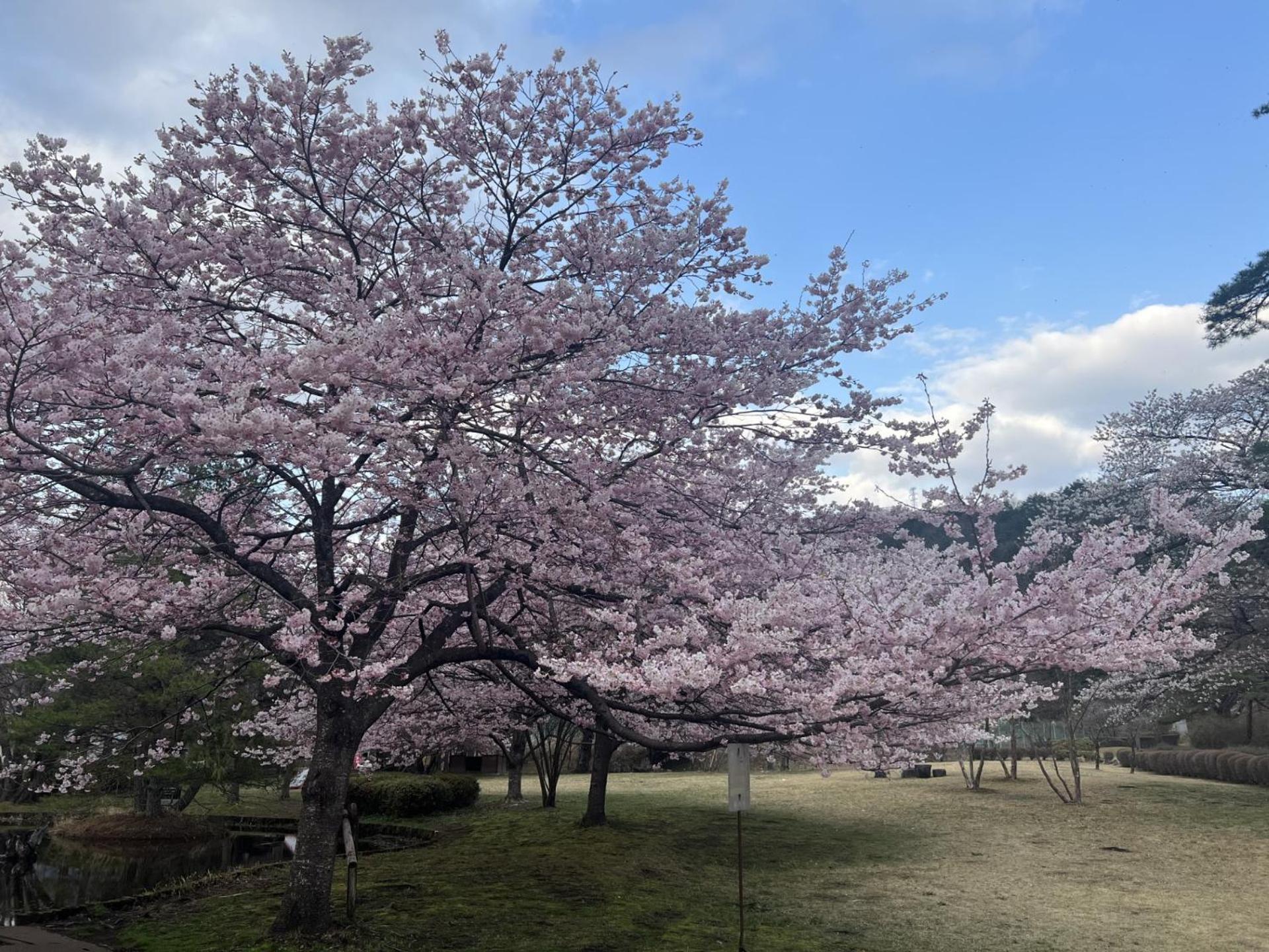 Kinugawa Keisui Hotel Nikkó Kültér fotó