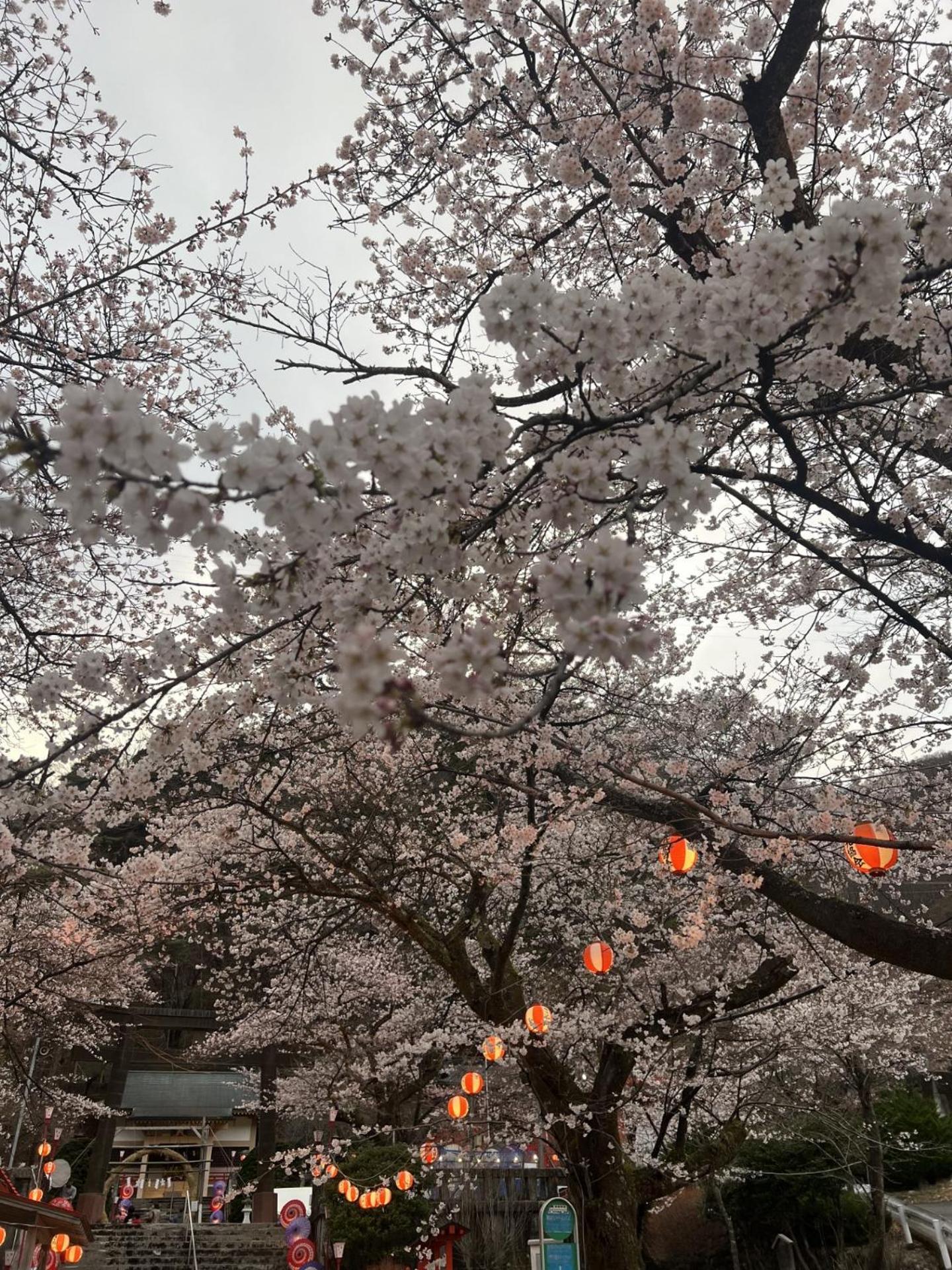 Kinugawa Keisui Hotel Nikkó Kültér fotó